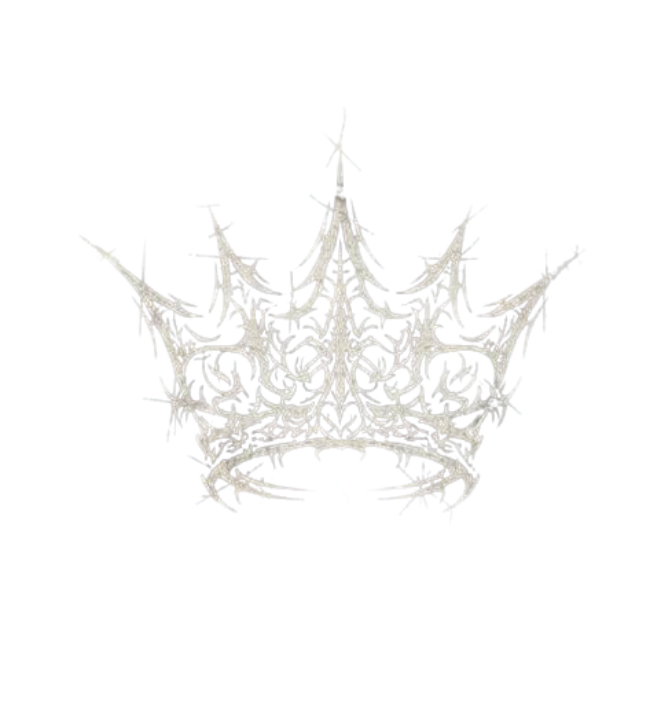 Image with text section